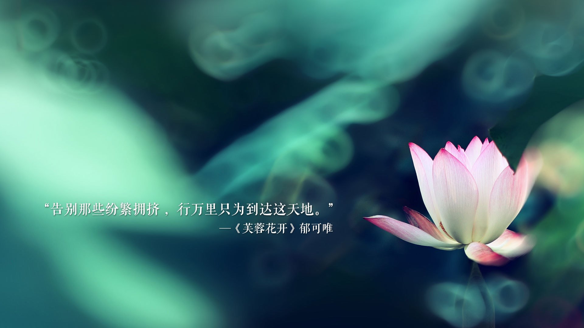 德甲重点场次，教练讲述战术执行背后的细节与数据支持，德甲最强