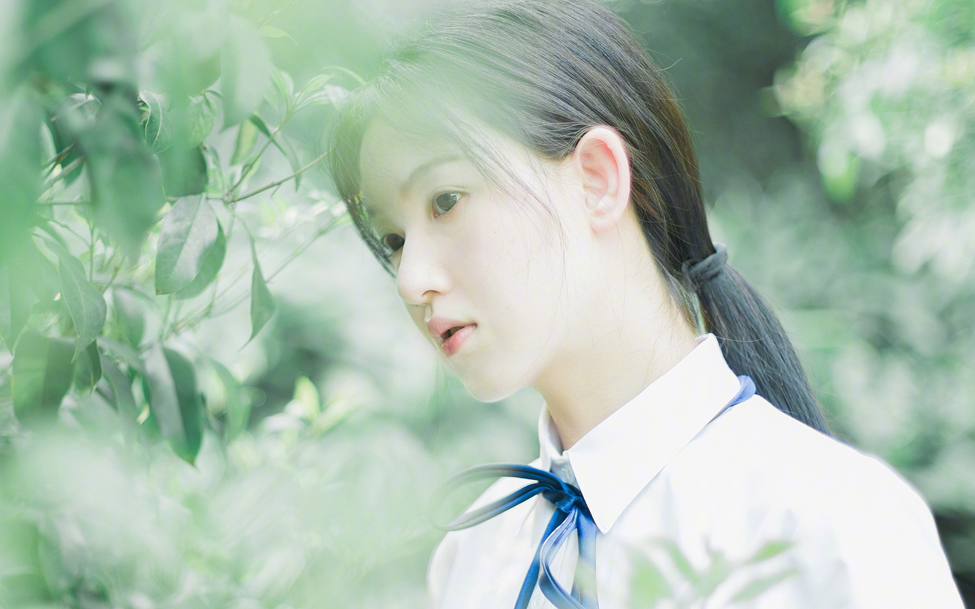 最受欢迎的赛道top10榜单出炉，最火赛道