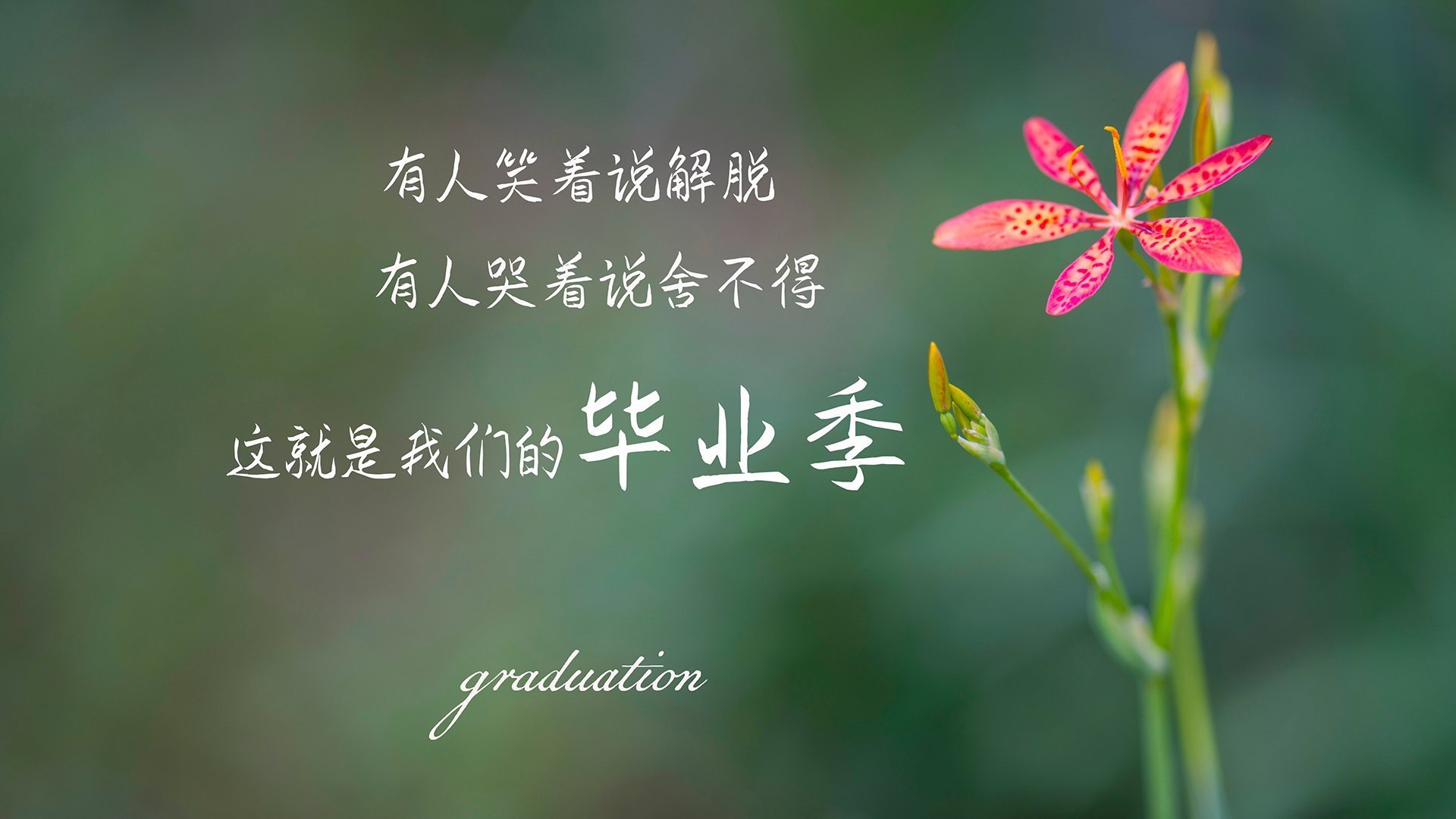 中国青少年篮球发展区域差异及均衡发展研究，全国青少年篮球特色