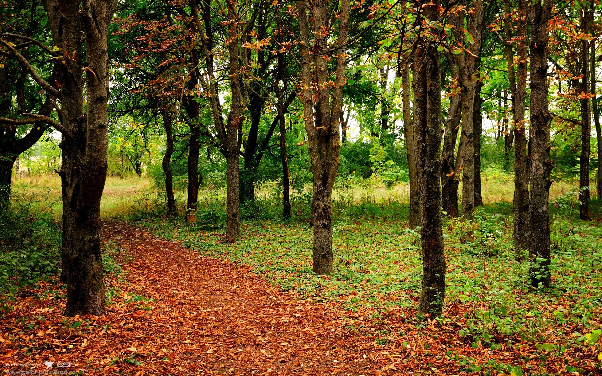 AYX GAMING-中国男篮全员健康备战 阵容深度逐渐增强，中国男篮备战情况