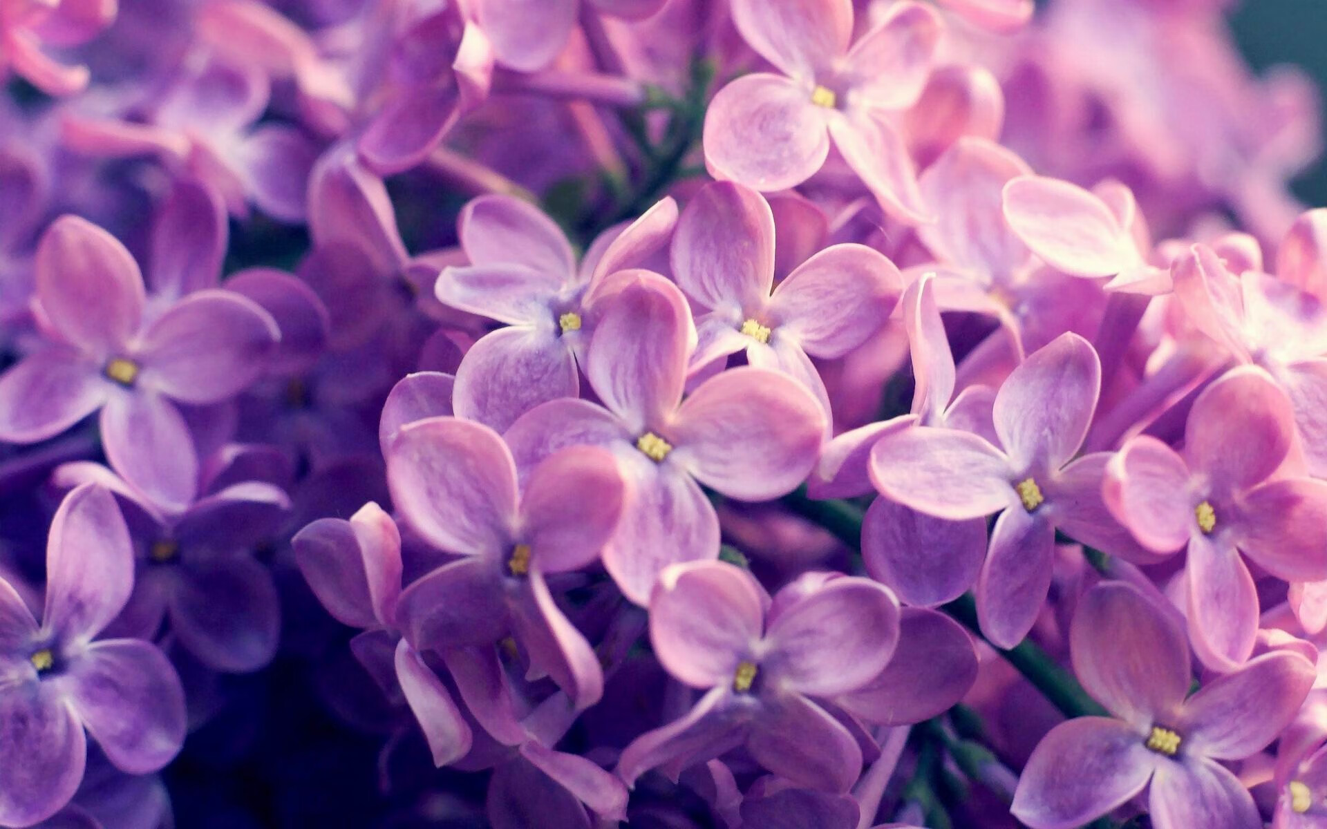 爱游戏在线登录入口-俱乐部管理体制改革滞后，俱乐部管理体制改革滞后的原因