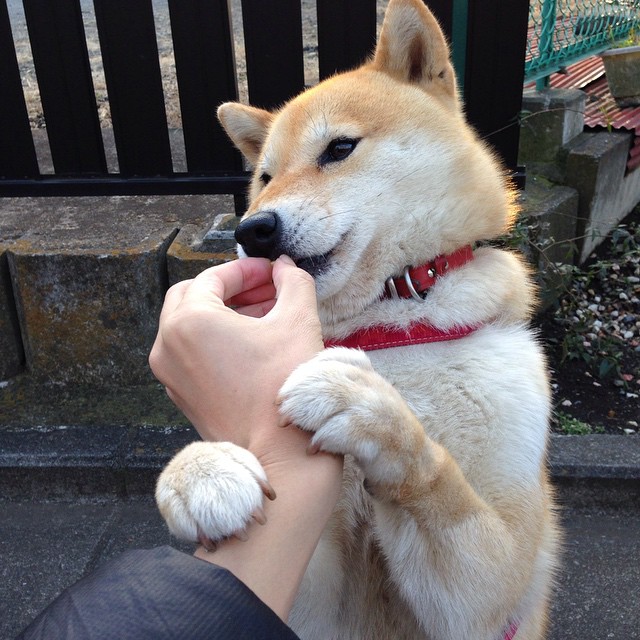 城市马拉松赞助体系引入公益众筹机制,马拉松赞助权益