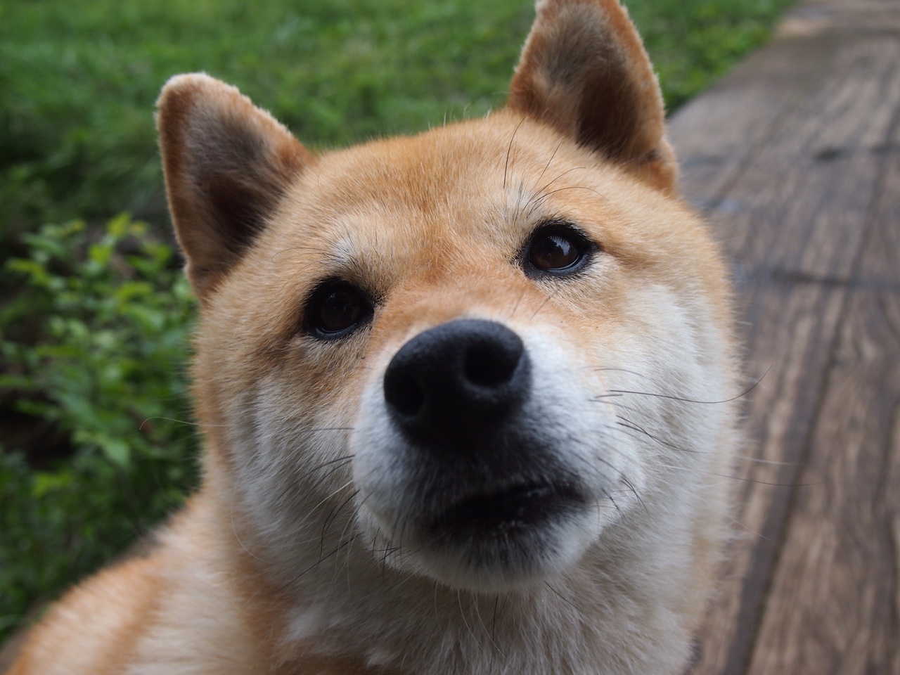 职业拳击赛事落地中国 首场门票火爆售罄,中国拳击业余比赛