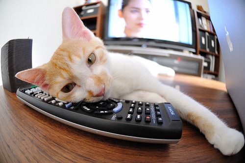 “霍斯特的超强防守,助力南非羚羊队再创佳绩”