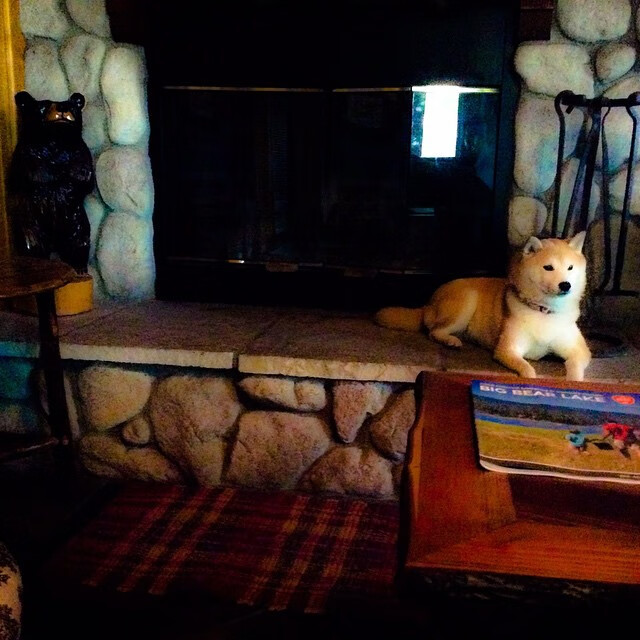 AIYOUXI.COM-国家队开展篮球专项体能监测助力科学训练与康复安排，篮球运动专项体能训练的研究