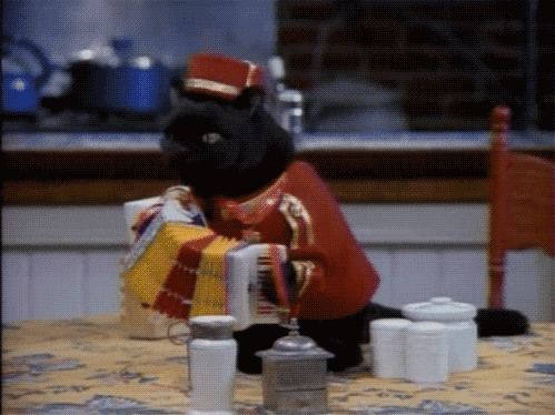 新西兰女子橄榄球引发全球关注，未来成发展重点，新西兰女子篮球队