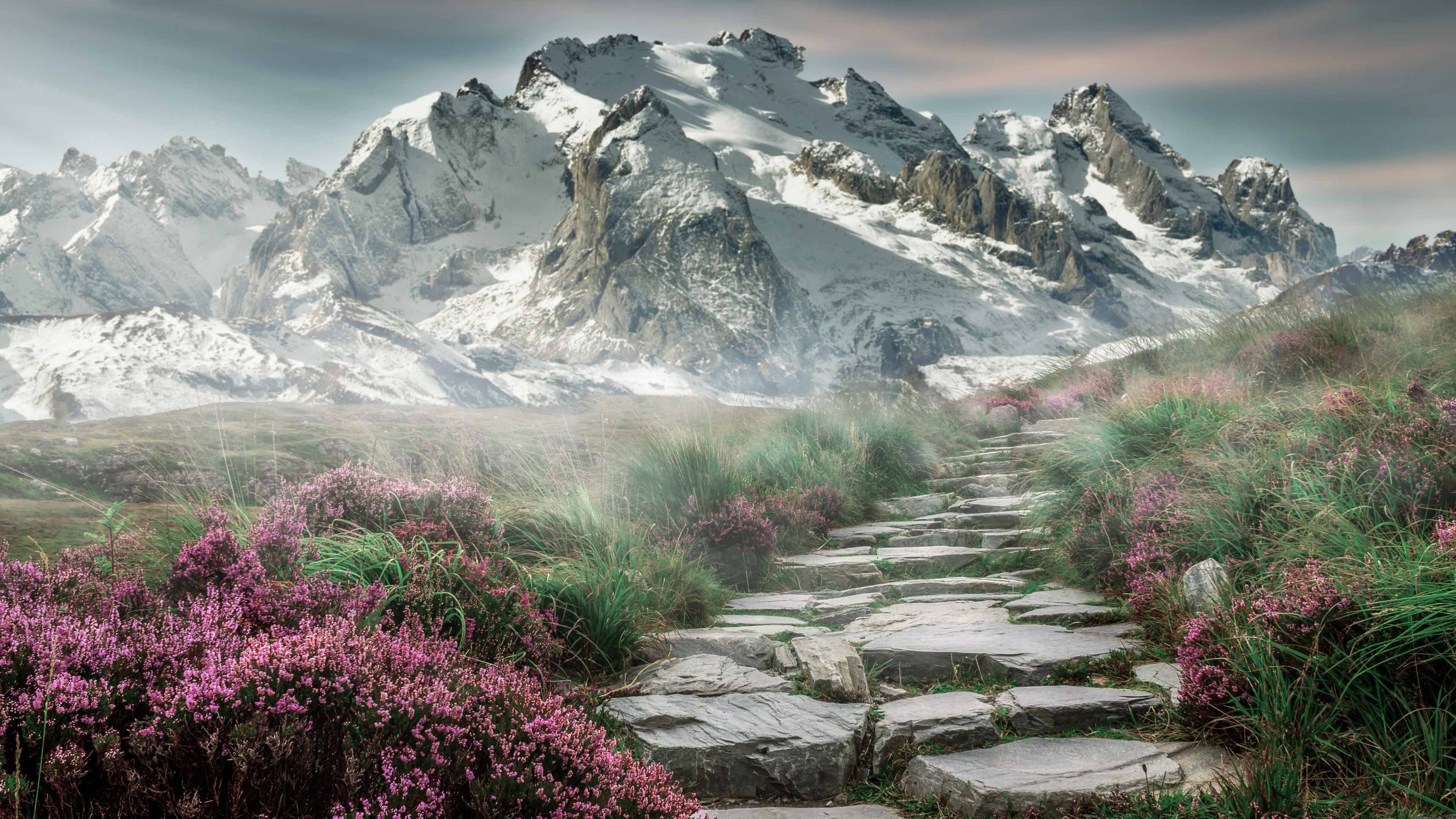 明星球员跨国转会频繁，国际市场竞争激烈，球星转会是什么意思